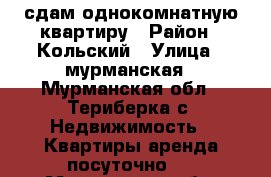 сдам однокомнатную квартиру › Район ­ Кольский › Улица ­ мурманская - Мурманская обл., Териберка с. Недвижимость » Квартиры аренда посуточно   . Мурманская обл.